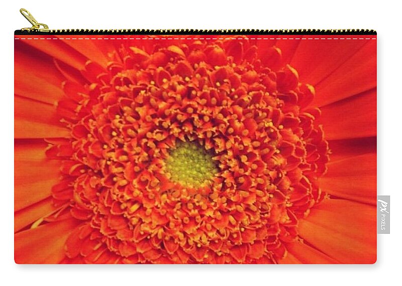 Flower Carry-all Pouch featuring the photograph Orange for Andy by Denise Railey