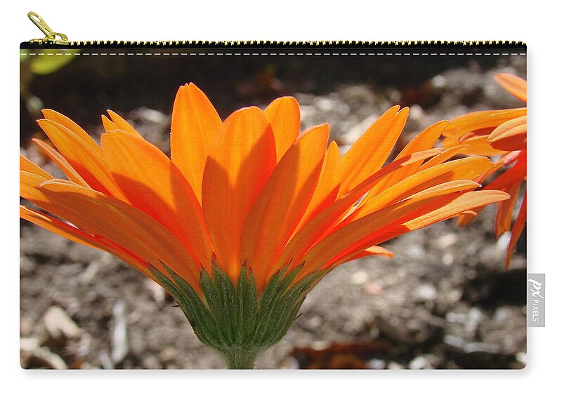 Nature Zip Pouch featuring the photograph Orange Glory by Mary Halpin