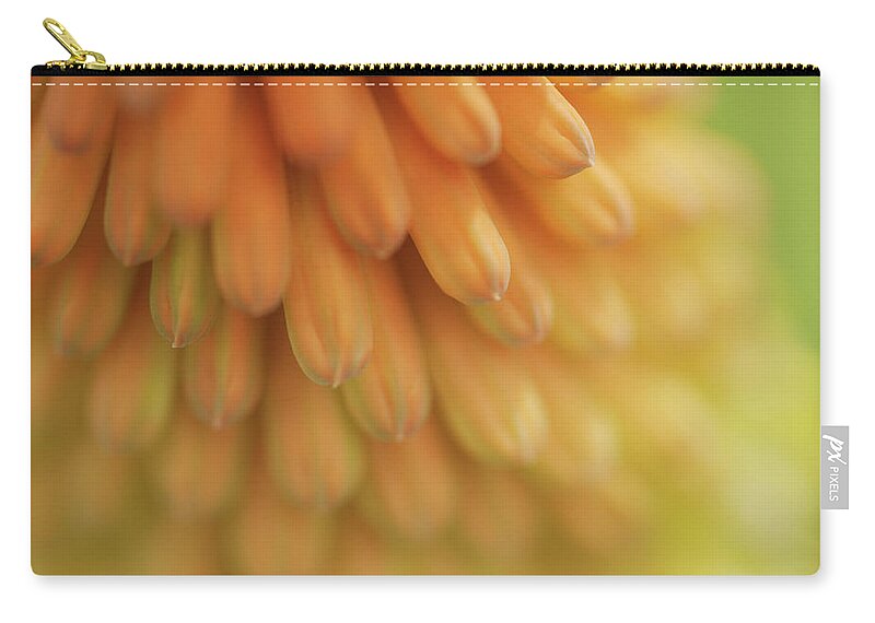 Jenny Rainbow Fine Art Photography Zip Pouch featuring the photograph Orange Glow of Torch Lily 1 by Jenny Rainbow