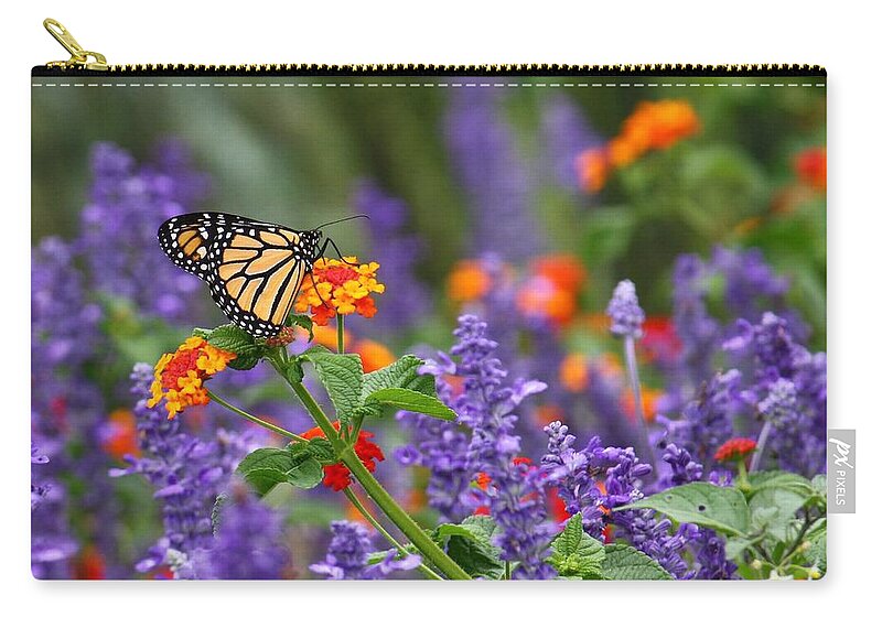 Monarch Butterfly Zip Pouch featuring the photograph Orange Juice by Lori Deiter