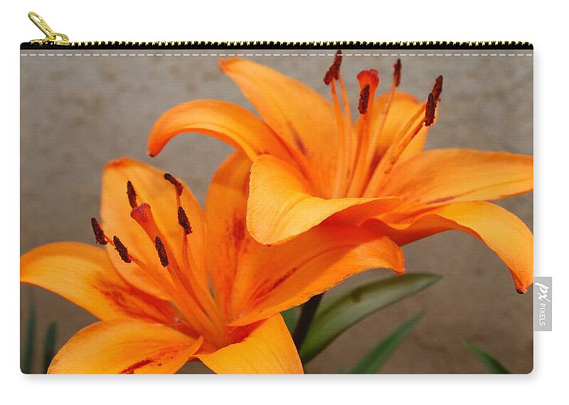 Flower Carry-all Pouch featuring the photograph Orange Lilies 2 by Amy Fose
