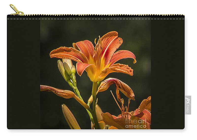 Flower Zip Pouch featuring the photograph Orange Lily Beauty by Joann Long