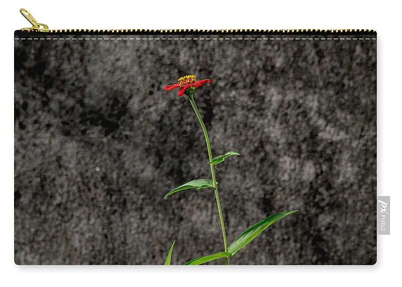 Orange Zip Pouch featuring the photograph Orange Red Flower 5 by Totto Ponce