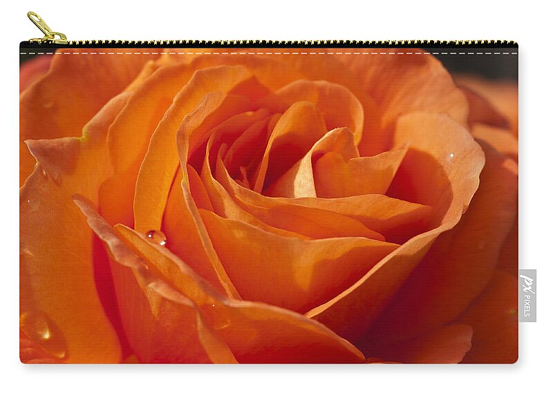 Orange Rose Zip Pouch featuring the photograph Orange Rose 2 by Steve Purnell