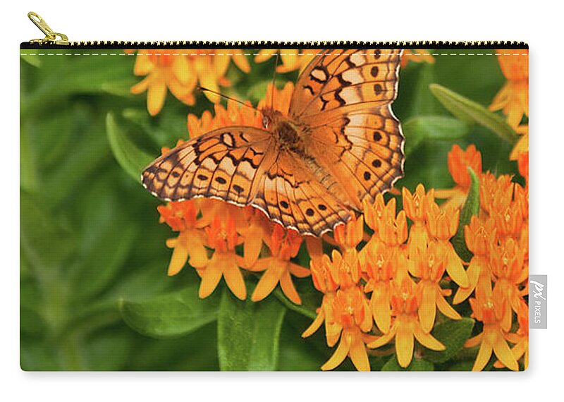 Variegated Fritillary Zip Pouch featuring the photograph Orange Splendor by Betty LaRue