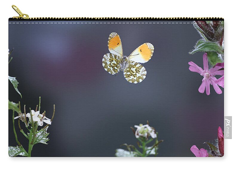 Anthocharis Cardamines Zip Pouch featuring the photograph Orange Tip Butterfly by Warren Photographic
