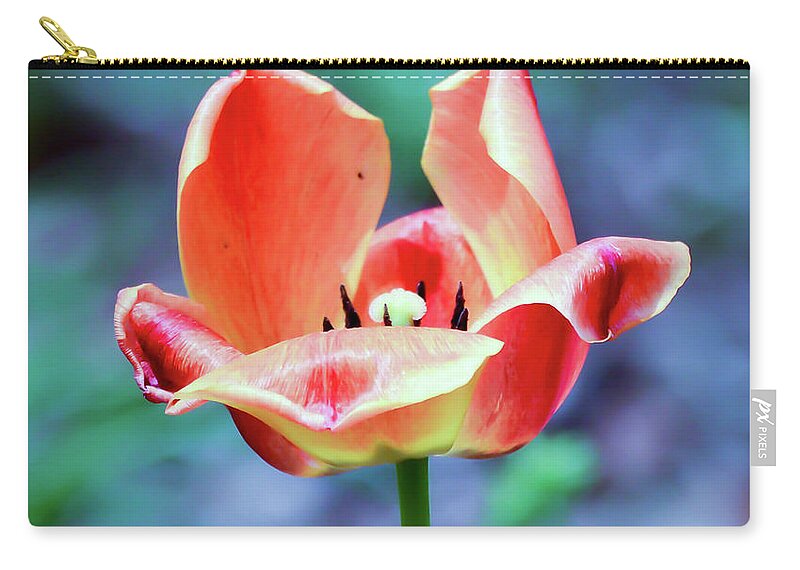 Tulip Zip Pouch featuring the photograph Orange Tulip by Kerri Farley