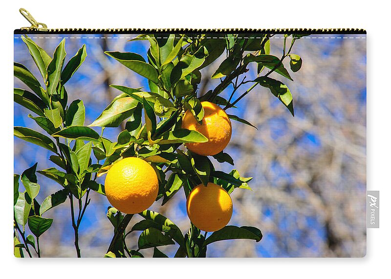 Tree Zip Pouch featuring the photograph Orange You Glad by Tikvah's Hope