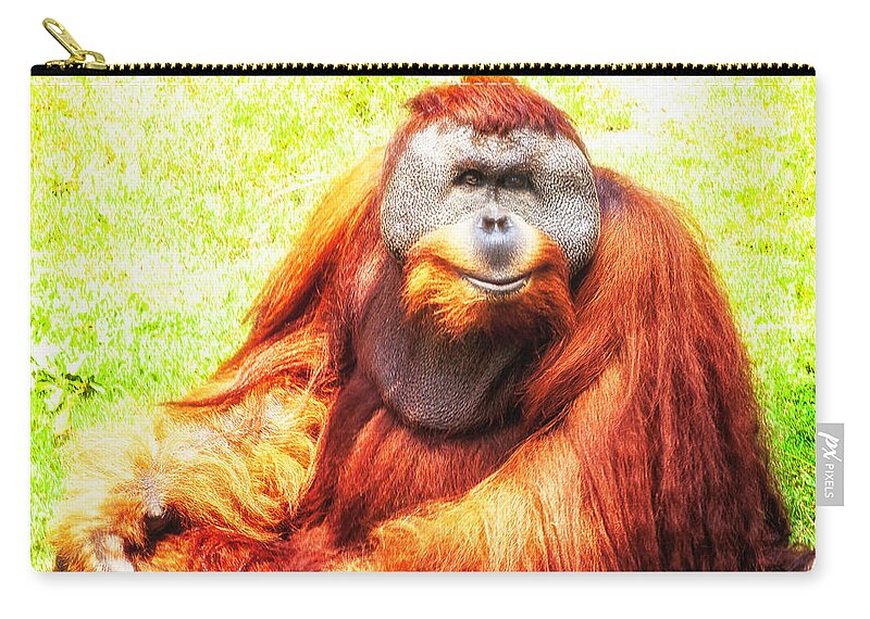 Orangutan Zip Pouch featuring the photograph Orangutan Posing by Frances Ann Hattier