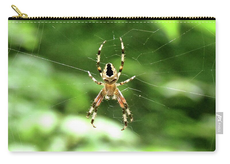 Spider Zip Pouch featuring the photograph Orb Weaver by Azthet Photography