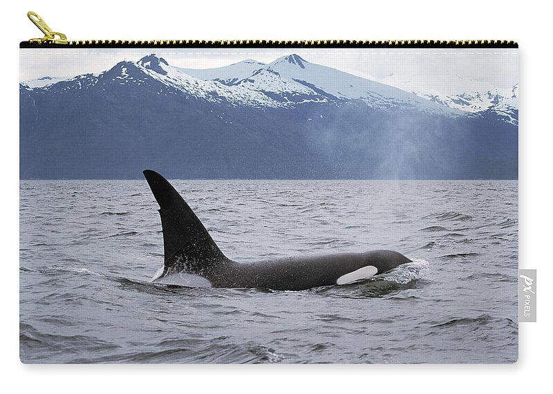 00196735 Zip Pouch featuring the photograph Orca in Inside Passage by Konrad Wothe