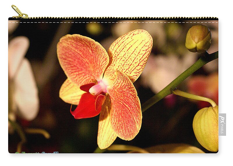 Everett Spruill Zip Pouch featuring the photograph Orchid 10 by Everett Spruill