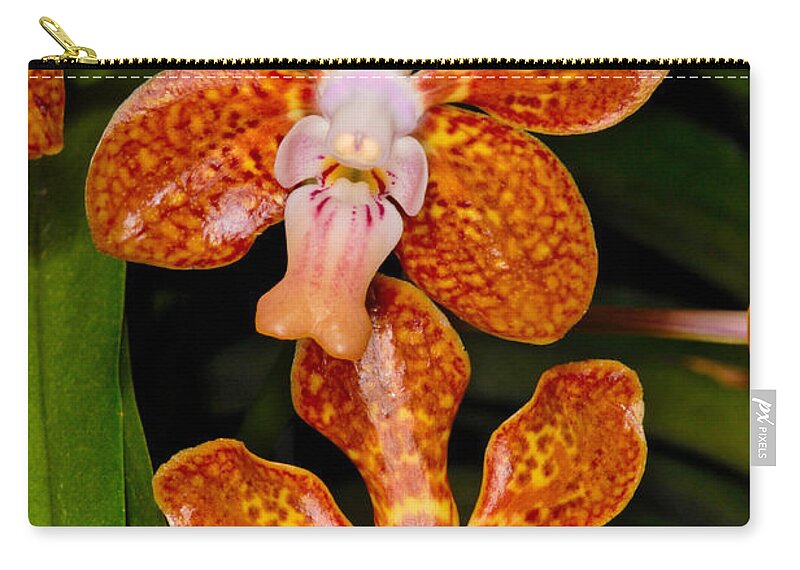 Flower Zip Pouch featuring the photograph Orchid 450 by Wesley Elsberry