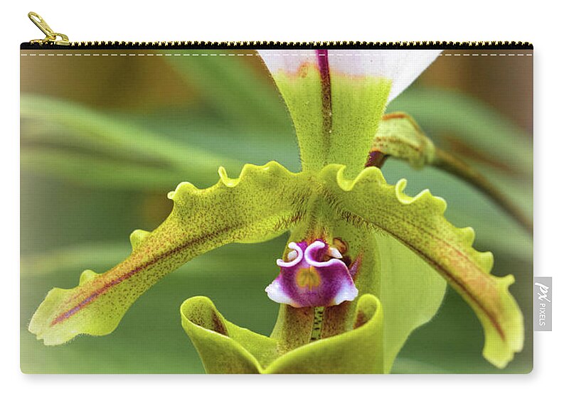 Selby Zip Pouch featuring the photograph Orchid Allure by Richard Goldman