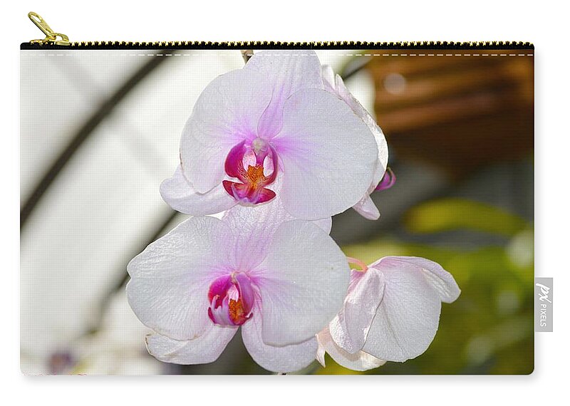 Orchid Aura Zip Pouch featuring the photograph Orchid Aura by Sonali Gangane