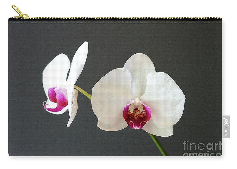 Orchid Carry-all Pouch featuring the photograph Orchid Blooms by Laurel Best
