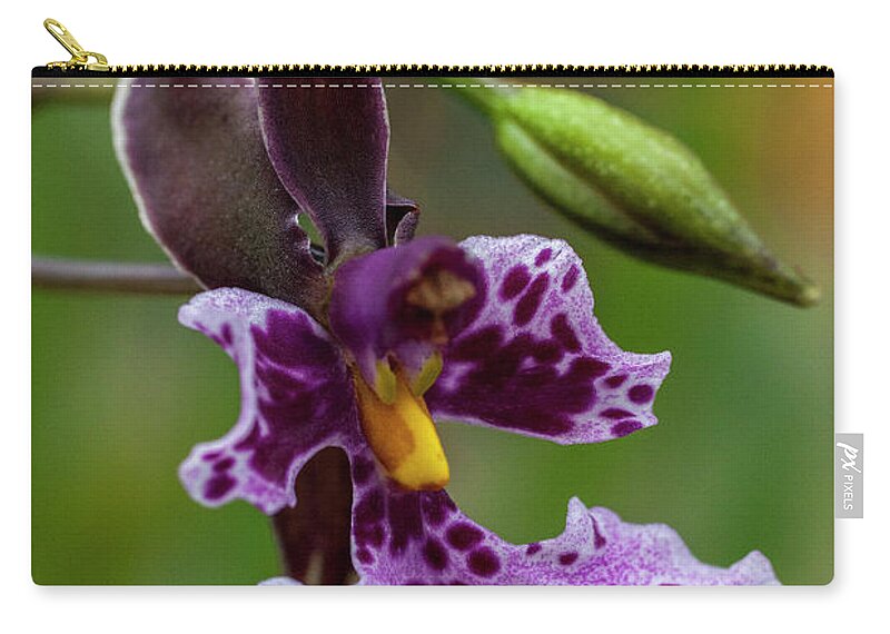 Orchid Carry-all Pouch featuring the photograph Orchid - Caucaea rhodosticta by Heiko Koehrer-Wagner