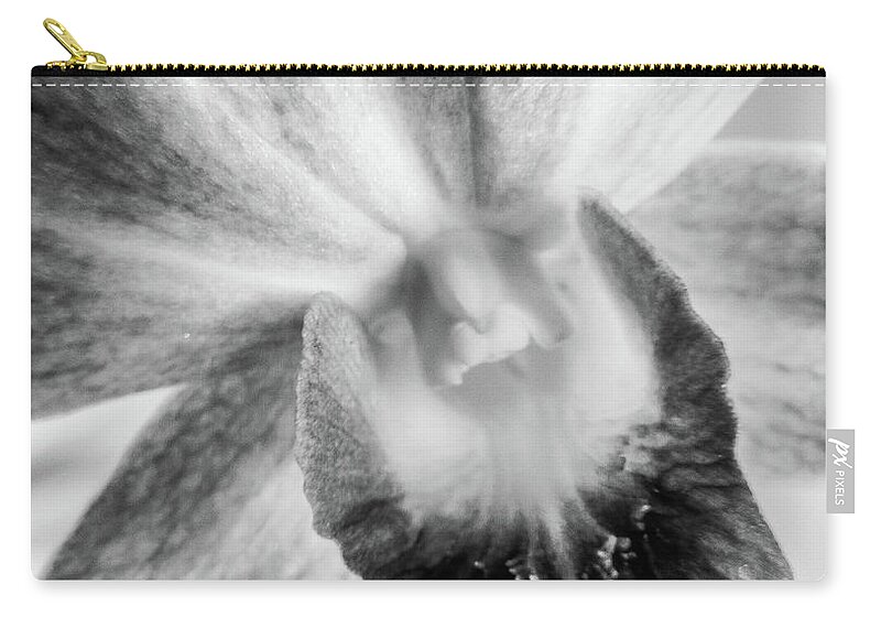 Flower Zip Pouch featuring the photograph Orchid by Cesar Vieira