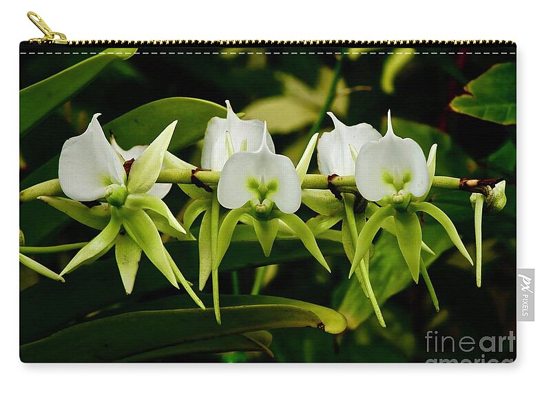 Orchids Zip Pouch featuring the photograph Orchid Choir by Craig Wood