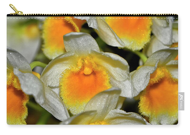 Orchid Zip Pouch featuring the photograph Orchid - Dendrobium thyrsiflorum 002 by George Bostian