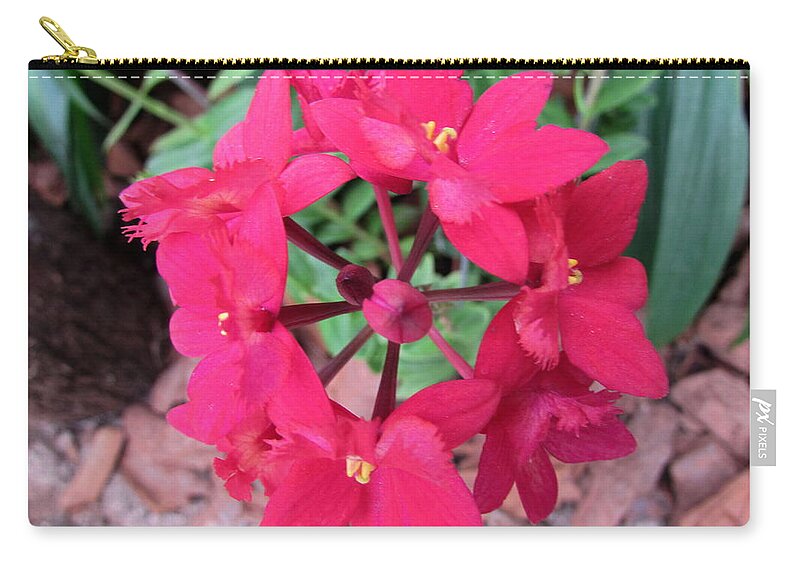 Orchid Zip Pouch featuring the photograph Orchid Flower by Cesar Vieira