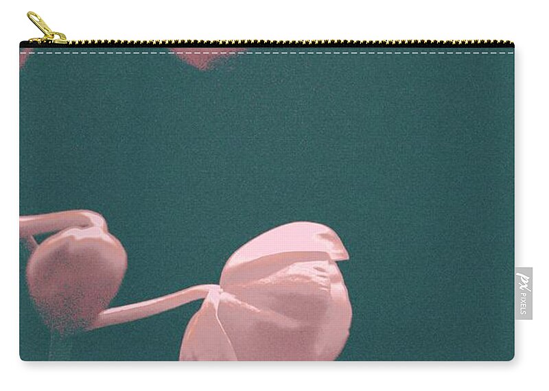 Flowers Zip Pouch featuring the photograph Orchid Flowers on Blue by Margie Avellino