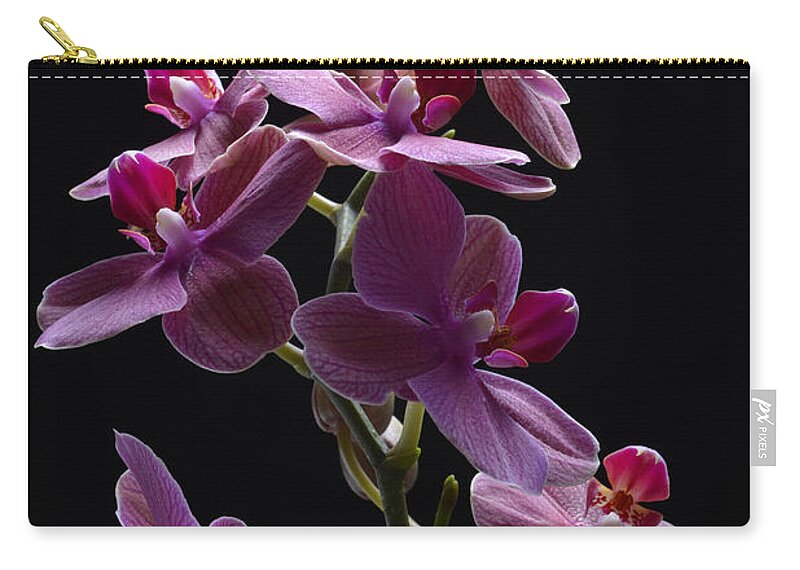 Orchid Zip Pouch featuring the photograph Orchid in flight by Robert WK Clark