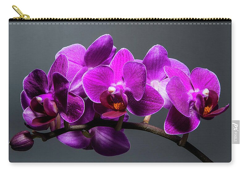 Purple Zip Pouch featuring the photograph Orchid by John Roach