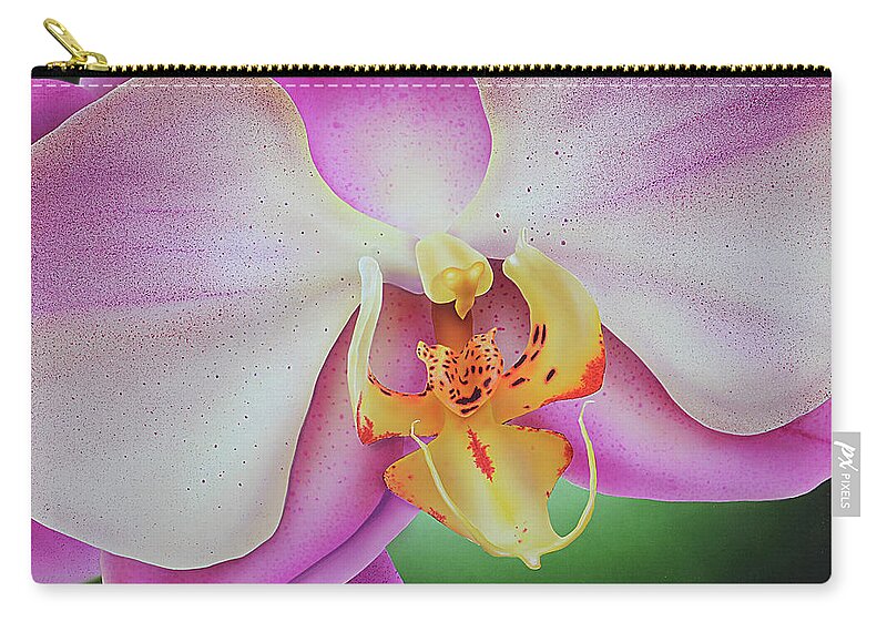 Orchid Zip Pouch featuring the painting Orchid by John Salozzo