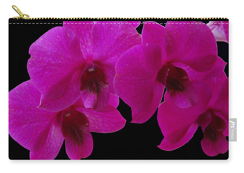Orchid Zip Pouch featuring the photograph Orchid Song by Aimee L Maher ALM GALLERY