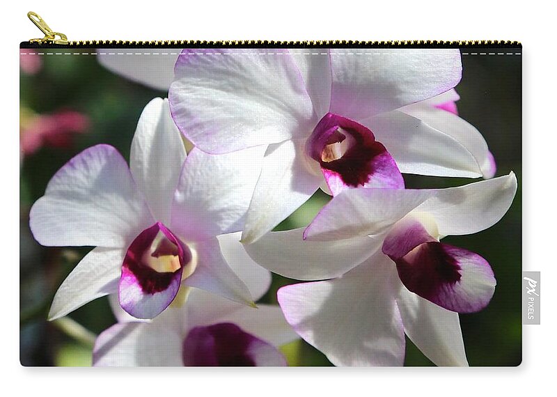 Orchid Zip Pouch featuring the photograph Orchid Square 2 by Carol Groenen