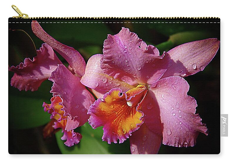 Lavender Orchids Zip Pouch featuring the photograph Orchids 3 by Karen McKenzie McAdoo