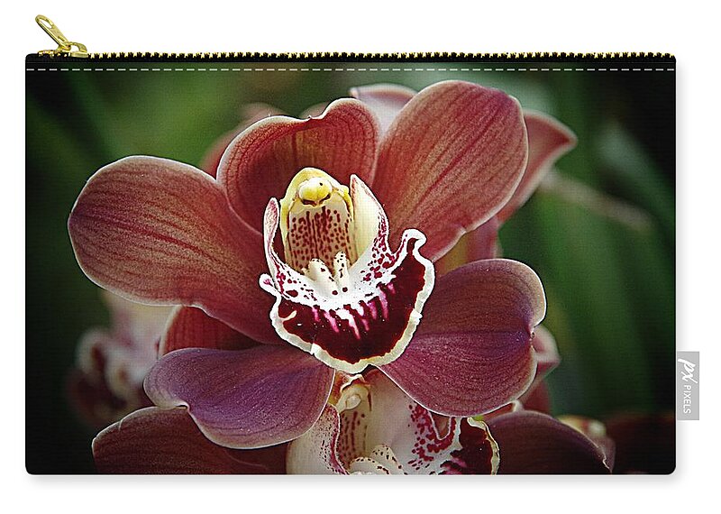 Brown Orchid Zip Pouch featuring the photograph Orchids 7 by Karen McKenzie McAdoo