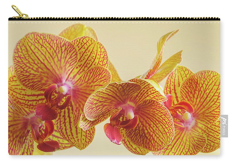 Beauty Carry-all Pouch featuring the photograph Orchids by Bob Grabowski