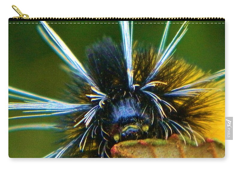 Oregon Zip Pouch featuring the photograph Oregon Woolly Bear by Gallery Of Hope 
