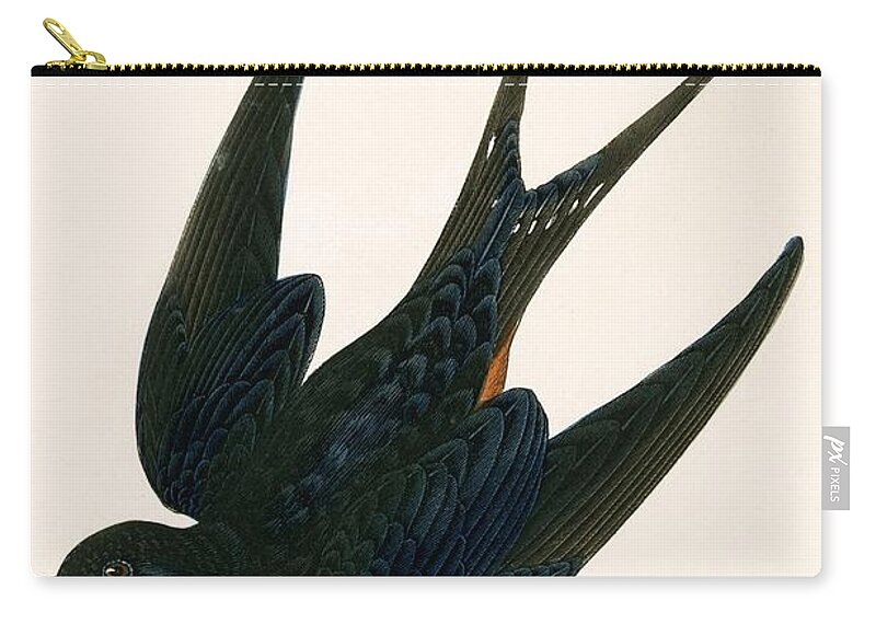 Bird Zip Pouch featuring the painting Oriental Chimney Swallow by English School