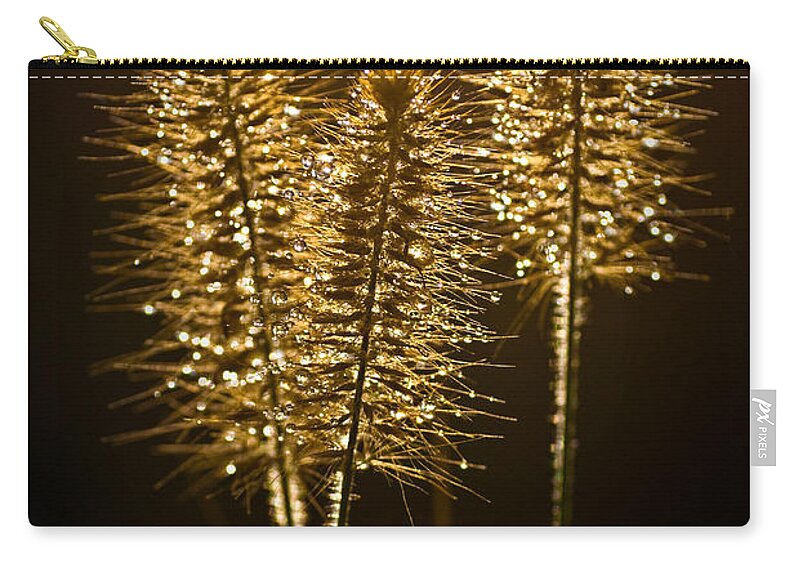 Grass Zip Pouch featuring the photograph Ornamental Grass with Dew Drops by Onyonet Photo studios