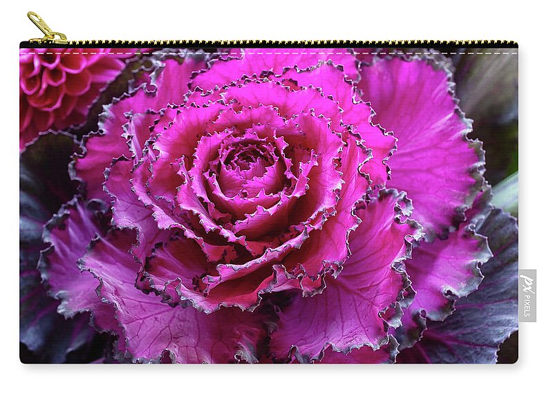 Kale Zip Pouch featuring the photograph Ornamental Kale by Catherine Reading