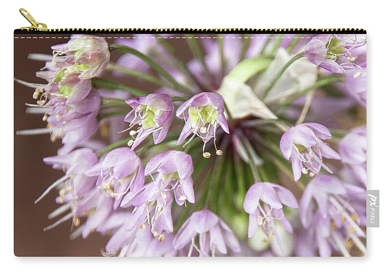 Ornamental Onion Zip Pouch featuring the photograph Ornamental Onion Flowering - by Julie Weber