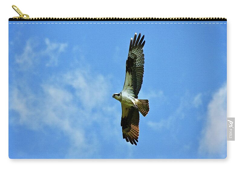 Osprey Zip Pouch featuring the photograph Osprey and Me by Shawn M Greener