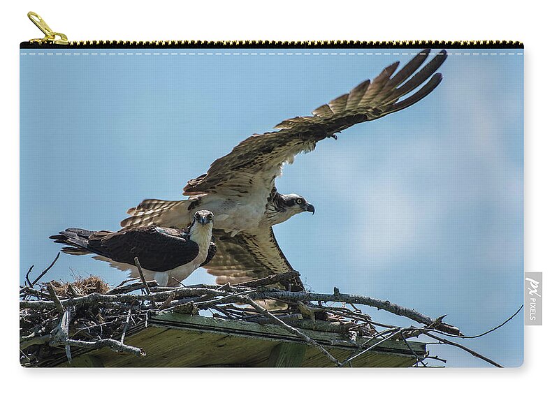 Bird Zip Pouch featuring the photograph Osprey Pair by Jody Partin