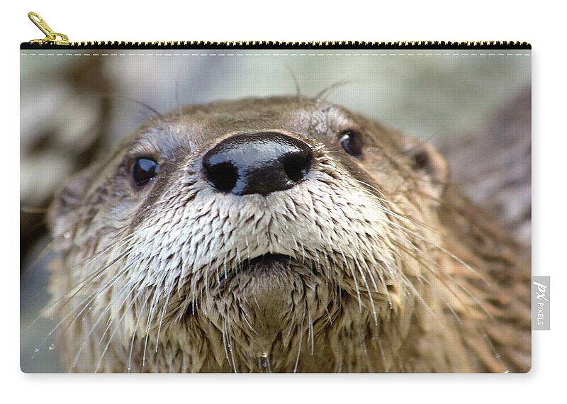 Otter Zip Pouch featuring the photograph Otter Pop by David Stasiak