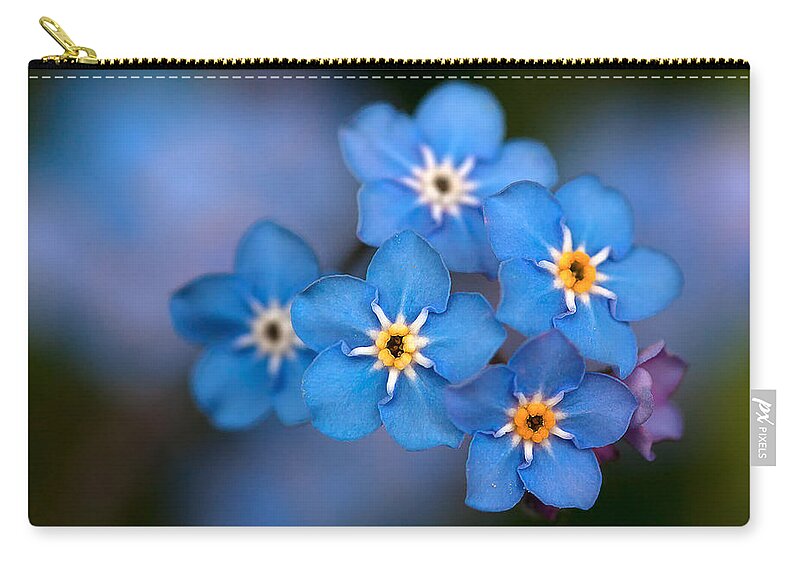 Forget Me Not Flower Zip Pouch featuring the photograph Out of the Blue by Shirley Mitchell