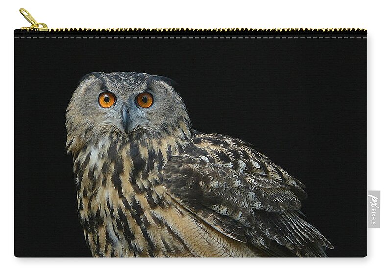 Eurasian Eagle Owl Zip Pouch featuring the photograph Out Of The Darkness 2 by Fraida Gutovich