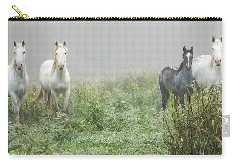 Wild Horses Carry-all Pouch featuring the photograph Out of the Mist, 2 by Holly Ross