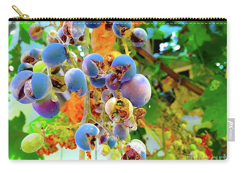 Nature Zip Pouch featuring the photograph Outburst by Wonju Hulse