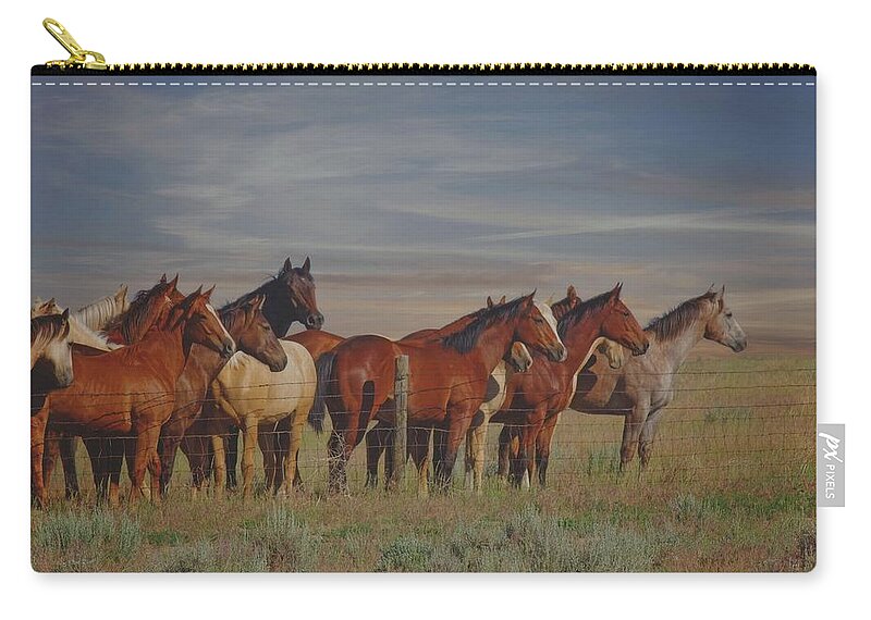 Horses Carry-all Pouch featuring the photograph Over The Fenceline by Amanda Smith