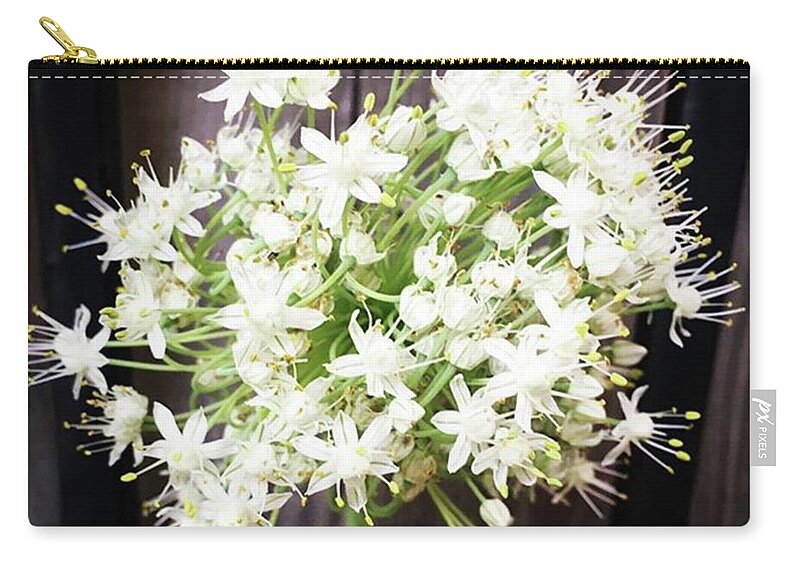 Garden Zip Pouch featuring the photograph Pom Pom bloom by Christine Chin-Fook