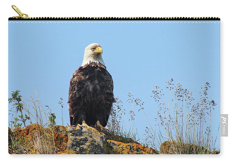 Eagle Zip Pouch featuring the photograph Overseer by Holly Ross