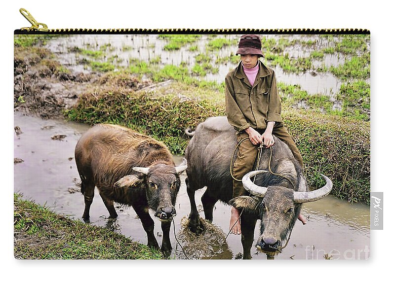 Ox Zip Pouch featuring the photograph Oxen Day Off.Cambodia by Jennie Breeze